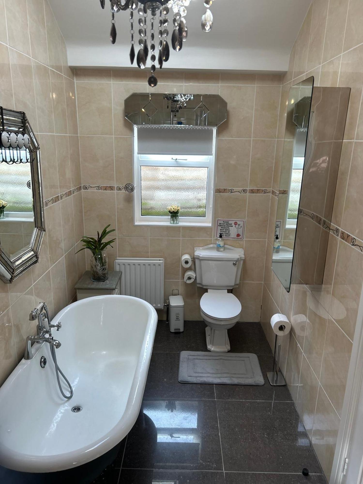 Bed and Breakfast Gracefield Artane Exteriér fotografie